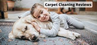 carpet cleaning reviews carpet