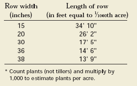 How To Measure Plant To Plant Spacing In Corn Integrated