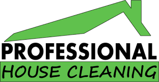 Professional Home Cleaners Newnan Georgia