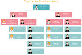 Examples Of Company Organizational Chart Www