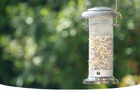 how to keep birds away from gr seed