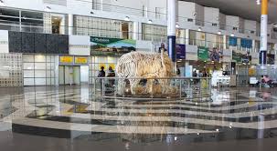 sir seretse khama international airport