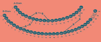 Humalog Sliding Scale Chart Diabetestalk Net
