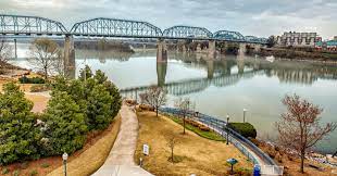dog friendly things to do chattanooga