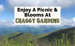 blooming craggy gardens trail along the