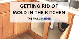 how to remove mold in kitchen 100