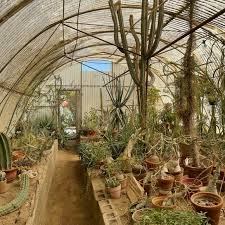 Moorten Botanical Garden And Cactarium