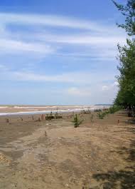 Bagi sebagian warga batang, pantai ini juga di sebut dengan pantai segolok. Pantai Sigandu Wisatajateng Com