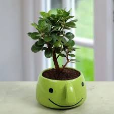 green smiley ceramic flower pot