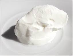 Greek Yogurt Substitutes Ingredients Equivalents