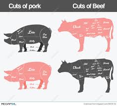 Illustration Of Beef Pork Cuts Chart Illustration 39636134