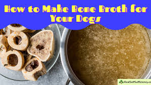 how to make bone broth for dogs easy