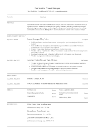 Project Manager Resume Templates 2019 Free Download
