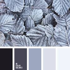 gray purple color color palette ideas