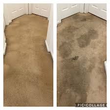 carpet cleaning in orlando chem dry nona