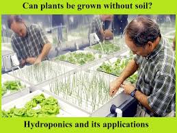 hydroponics and its applications here