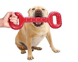 10 best big dog toys strong
