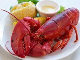 1 1 4 lb maine lobsters pack of 9