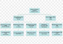 organizational chart diagram business