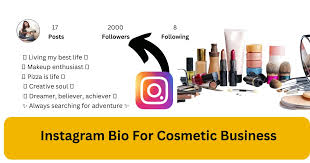 insram bio for cosmetic business