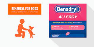 benadryl for dogs diphenhydramine