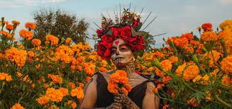 25 day of the dead costumes 2023