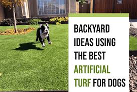 Artificial Turf For Dogs In Phoenix