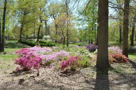 Photos Azalea Garden At Bryan Park