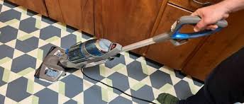 sanitizing steam mop review