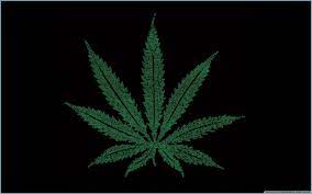 Marijuana Leaf Wallpapers HD ...