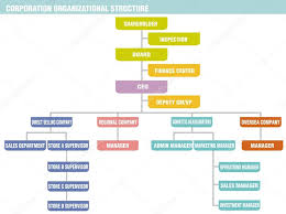 Corporation Organizational Structure Stock Vector