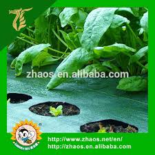 China Vegetable Garden Covers Black