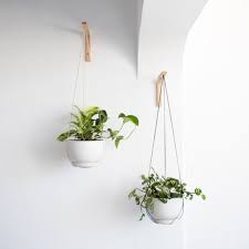 Wall Hook For Hanging Plants Wood Plant
