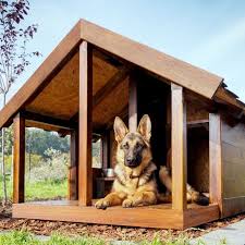 Къща, колиба за куче едноделна. Kak Da Planirate Gradinata Kogato Imate Kuche Orgachim Bg