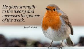 He WILL make you strong, believe in Him! - Isaiah 40:29 eCard - Free  Facebook Greeting Cards Online