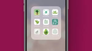 They are also valuable for this app can identify a plant from a photo of its leaves, flowers, fruits, bark, habit, or another part. 7 Best Plant Identification Apps For Your Home Garden Wild Plants