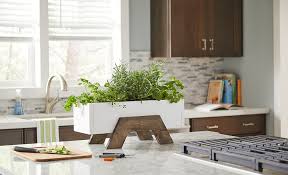 How to make a kitchen herb garden: How To Grow Herbs Indoors The Home Depot