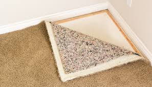 how to prevent mold mildew in your