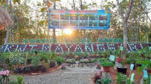 Tema tanaman hias untuk anak paud. Taman Herbal Mayangsari Hidupnya Semarak Ekonomi Warga Dusun Jambe Desa Semin Tribunnews Com Mobile