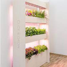 The Wall Farm Indoor Vertical Garden