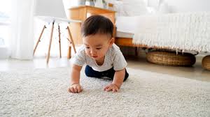 how to steam clean carpets and rugs