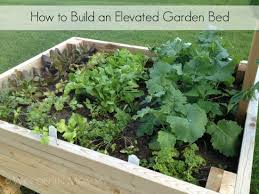 build your own elevated raised garden bed