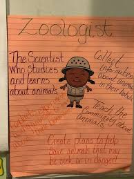 What Is A Zoologist Kindergarten Anchor Charts Anchor
