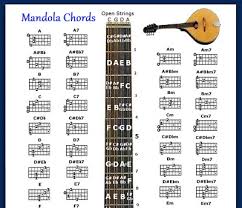 Mandola Chords Chart Note Locator Small Chart Ebay