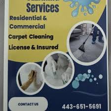 skye cleaning services baltimore