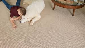 choosing the best carpet for your home