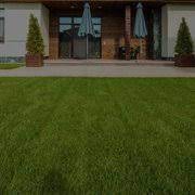 green carpet lawn care updated march