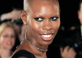 Afbeeldingsresultaat voor skunk anansie