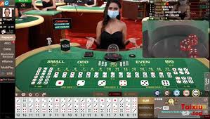 Casino Bin8vin