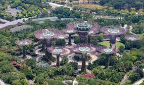 marina bay sands to gardens by the bay